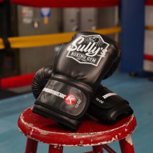 Sully's Kids Boxing Gloves.
