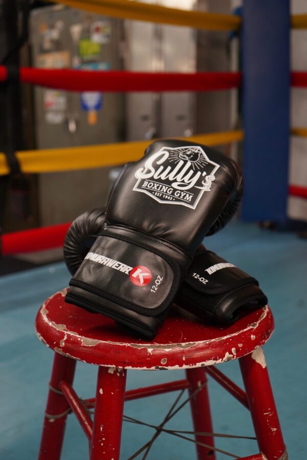 Sully's Kids Boxing Gloves.